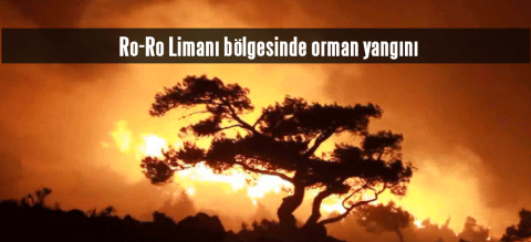 Ro-Ro Limanı bölgesinde orman yangını