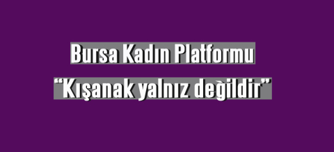 Bursa Kadın Platformu, "Kışanak yalnız değildir"