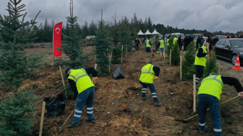 Bursa'da 7,5 milyon fidan toprakla buluşacak