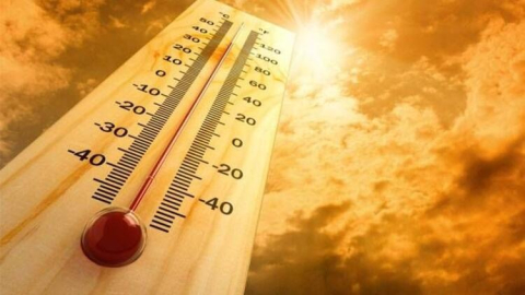 Dünya Meteoroloji Örgütü açıkladı: En sıcak yıl geliyor!