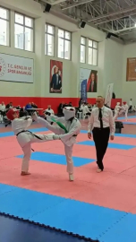 4. Uluslararası Esat Deli Hasan Kyokushin Şampiyonası Bursa'da yapılacak