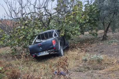 Bursa'da mevsimlik işçileri taşıyan kamyonet ağaca çarptı: 1 ölü, 7 yaralı