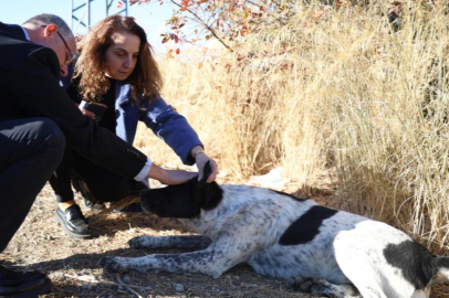 Can dostlar için Mudanya’da güç birliği