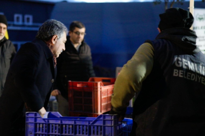 Gemlik Belediyesi'den, zeytin üreticisine 3 milyon liralık destek